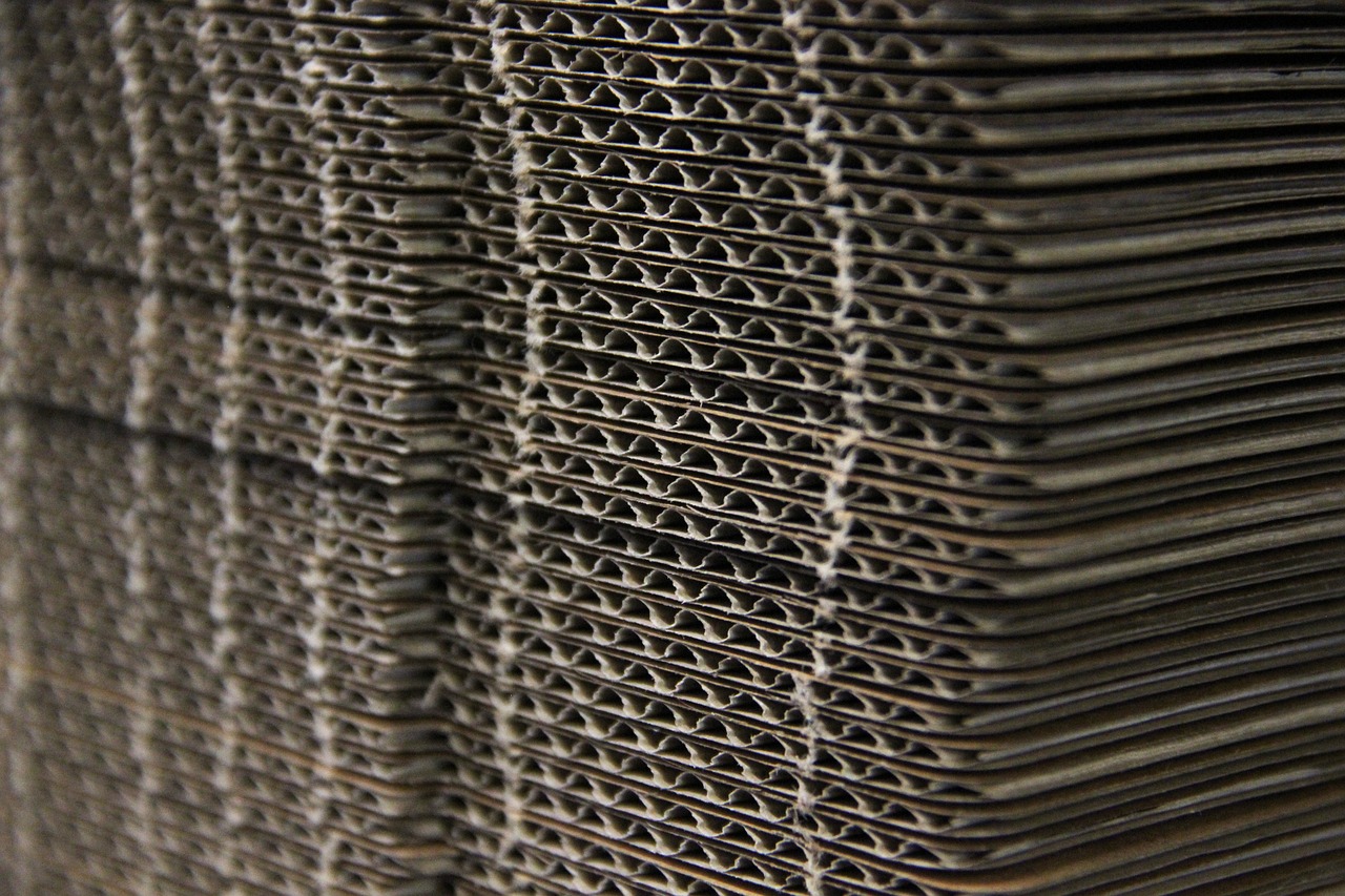 diferencia entre envases biodegradables compostables reciclables