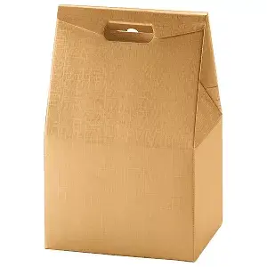 50 u. borse 'el dorado'  28x20x41 cm oro cartone (1 unità)