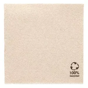 Tovaglioli ecolabel double point  19 g/m2 20x20 cm naturale tissue riciclato (2400 unità)
