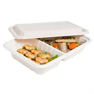 Vassoi 2 scomparti + coperchio bionic 800 ml 23,3x14,6x6 cm naturale bagassa (400 unità)