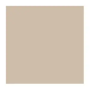 Carta antigrasso basket  34 g/m2 31x38 cm naturale pergamana antigrassi (1000 unità)