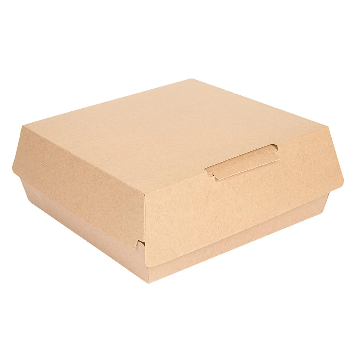 Scatole per cibo thepack  23,5x24x8,7 cm naturale cartone nano-micro (150 unità)