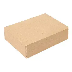 Scatoline multiuso thepack  19,7x12x4,5 cm marrone cartone nano-micro (400 unità)