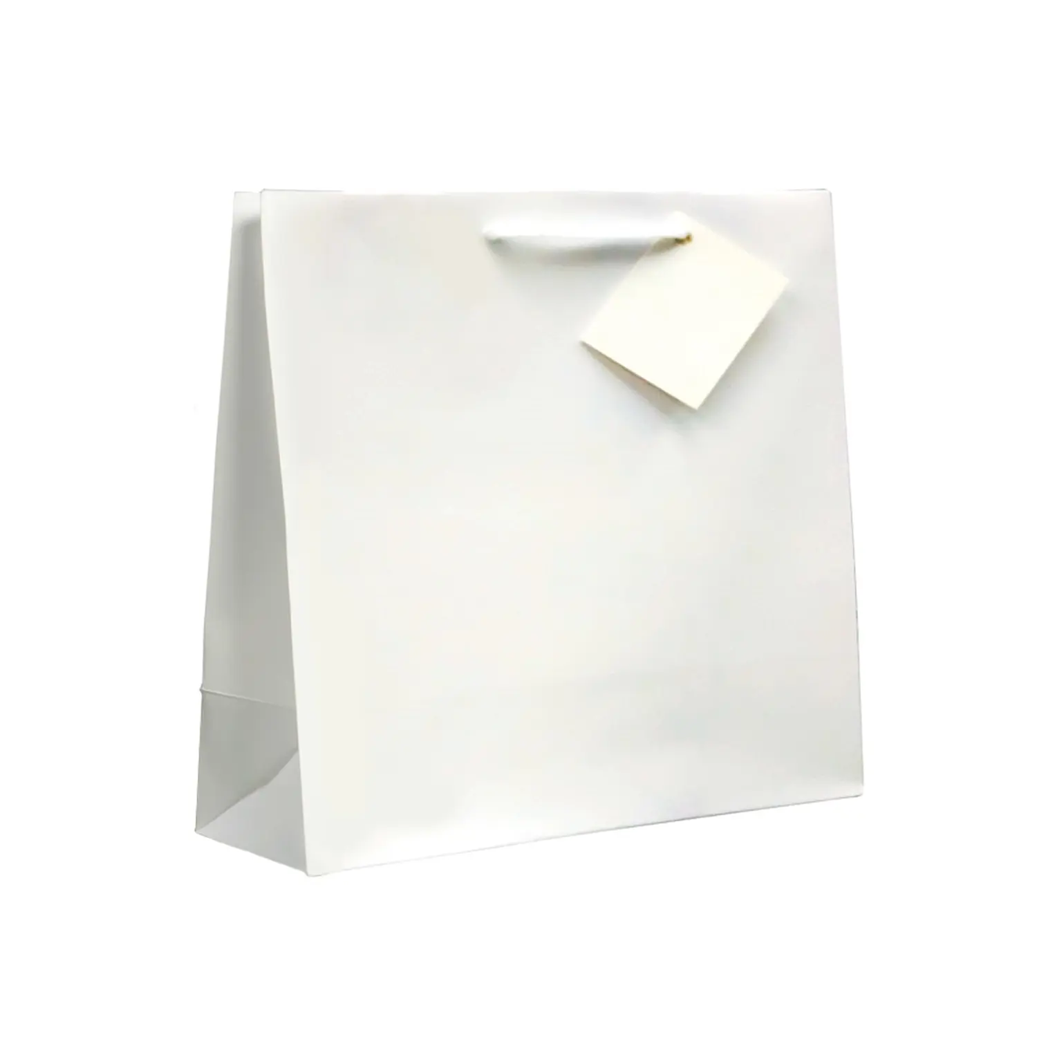 Sacchetti con manici in corda   19+10x27 cm bianco cellulosa (100 unità)