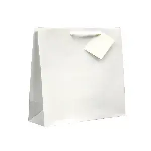 Saco boutique asa em cordão   19+10x27 cm branco celulose (100 unidade)